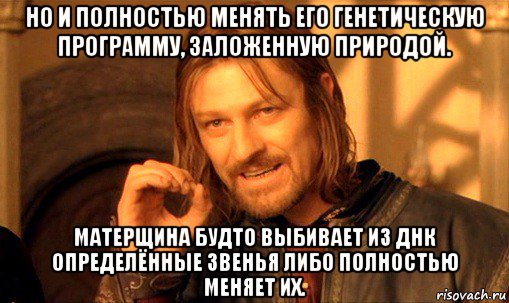 но и полностью менять его генетическую программу, заложенную природой. матерщина будто выбивает из днк определённые звенья либо полностью меняет их., Мем Нельзя просто так взять и (Боромир мем)