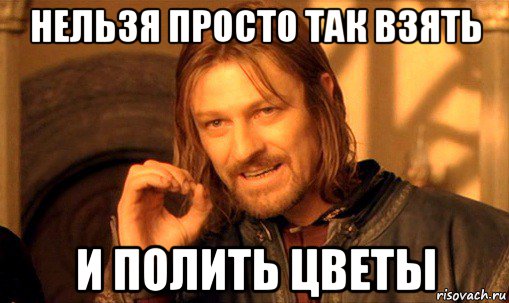 нельзя просто так взять и полить цветы, Мем Нельзя просто так взять и (Боромир мем)