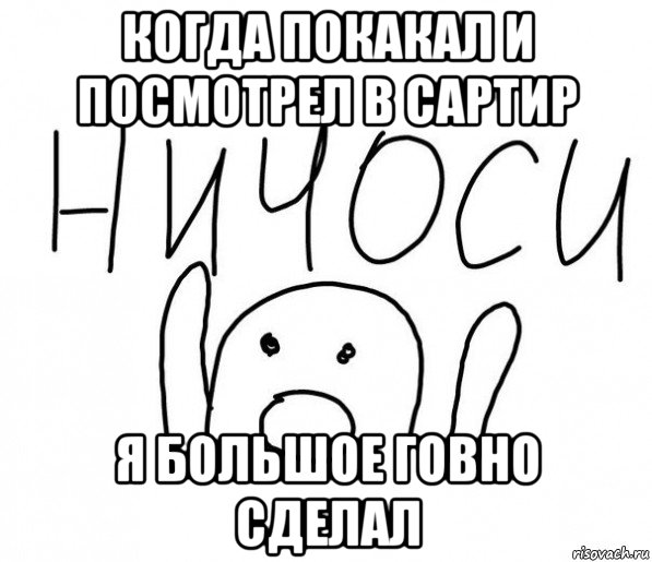 когда покакал и посмотрел в сартир я большое говно сделал, Мем  Ничоси