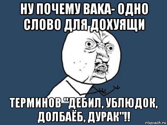 ну почему baka- одно слово для дохуящи терминов "дебил, ублюдок, долбаёб, дурак"!!, Мем Ну почему