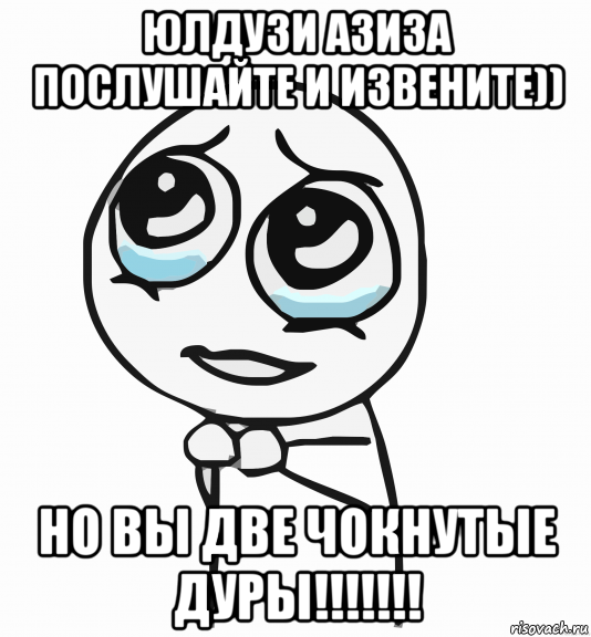 юлдузи азиза послушайте и извените)) но вы две чокнутые дуры!!!!!!!, Мем  ну пожалуйста (please)