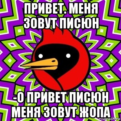 привет. меня зовут писюн -о привет писюн меня зовут жопа, Мем Омская птица