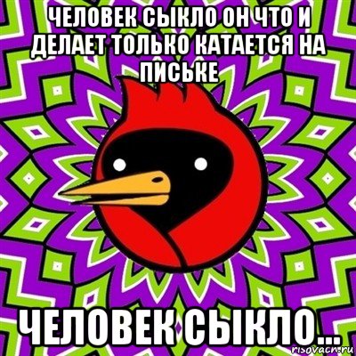 человек сыкло он что и делает только катается на письке человек сыкло..., Мем Омская птица