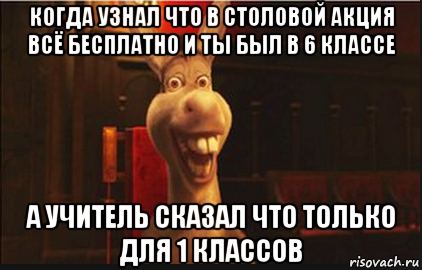 когда узнал что в столовой акция всё бесплатно и ты был в 6 классе а учитель сказал что только для 1 классов, Мем Осел из Шрека