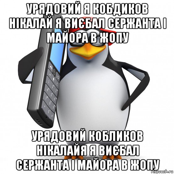урядовий я кобдиков нікалай я виєбал сержанта і майора в жопу урядовий кобликов нікалайя я виєбал сержанта і майора в жопу, Мем   Пингвин звонит