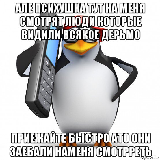 але психушка тут на меня смотрят люди которые видили всякое дерьмо приежайте быстро ато они заебали наменя смотрреть, Мем   Пингвин звонит