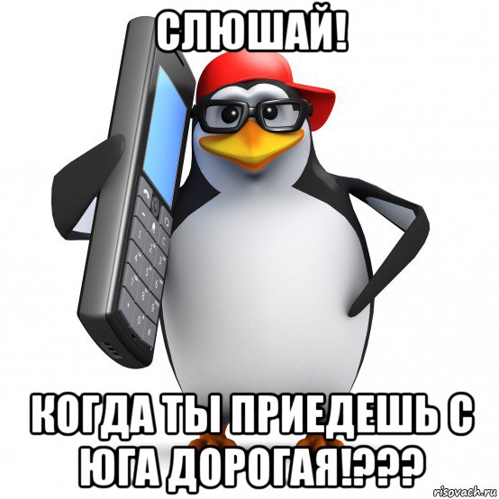 слюшай! когда ты приедешь с юга дорогая!???, Мем   Пингвин звонит