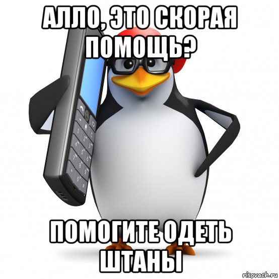 алло, это скорая помощь? помогите одеть штаны, Мем   Пингвин звонит