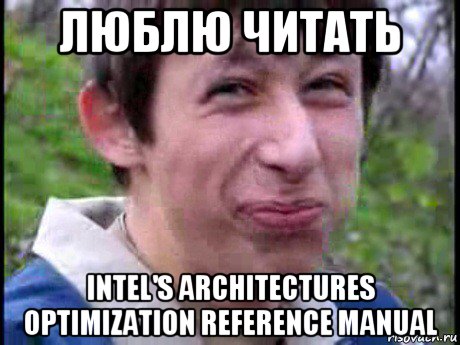 люблю читать intel's architectures optimization reference manual