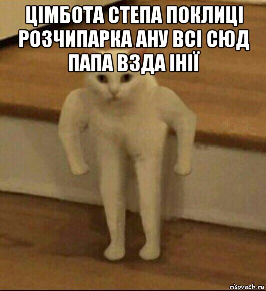 цімбота степа поклиці розчипарка ану всі сюд папа взда інії , Мем  Полукот