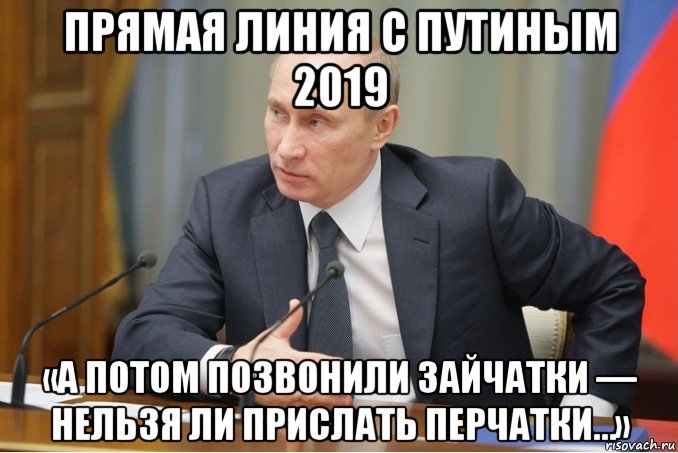 прямая линия с путиным 2019 «а потом позвонили зайчатки — нельзя ли прислать перчатки…»