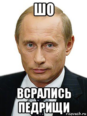 шо всрались педрищи, Мем Путин