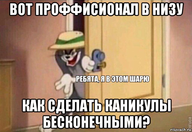 вот проффисионал в низу как сделать каникулы бесконечными?, Мем    Ребята я в этом шарю