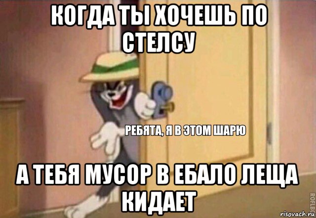 когда ты хочешь по стелсу а тебя мусор в ебало леща кидает, Мем    Ребята я в этом шарю