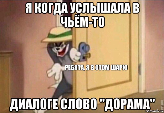 я когда услышала в чьём-то диалоге слово "дорама", Мем    Ребята я в этом шарю