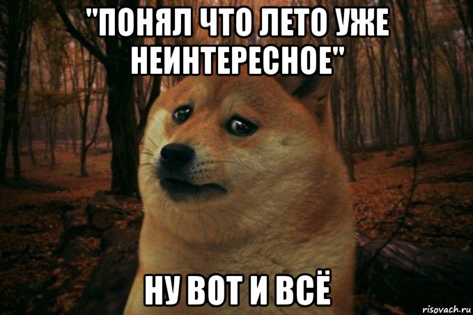 "понял что лето уже неинтересное" ну вот и всё, Мем SAD DOGE