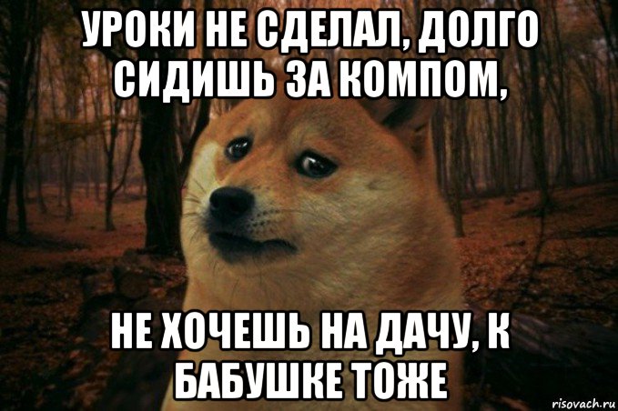 уроки не сделал, долго сидишь за компом, не хочешь на дачу, к бабушке тоже, Мем SAD DOGE