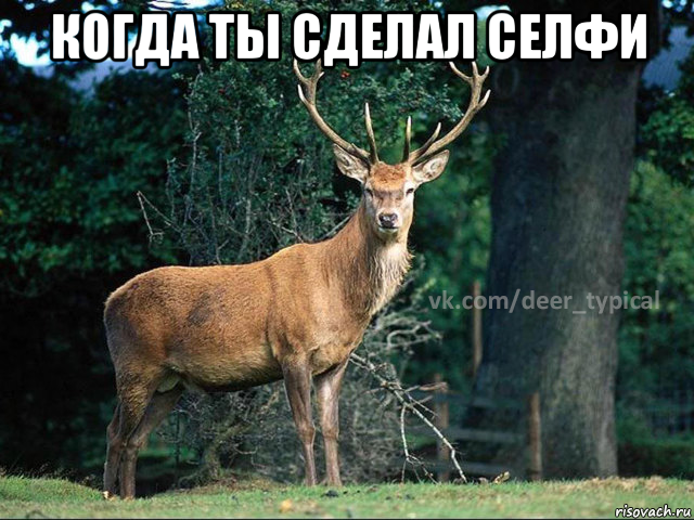 когда ты сделал селфи 