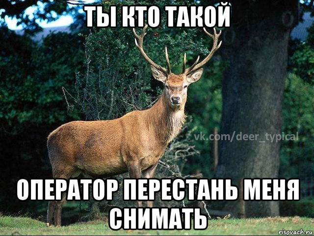 ты кто такой оператор перестань меня снимать
