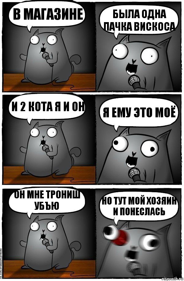 в магазине была одна пачка вискоса и 2 кота я и он я ему это моё он мне трониш убъю но тут мой хозяин и понеслась, Комикс  Стендап-кот