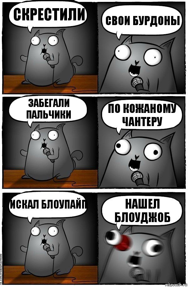 скрестили свои бурдоны забегали пальчики по кожаному чантеру искал блоупайп нашел блоуджоб, Комикс  Стендап-кот