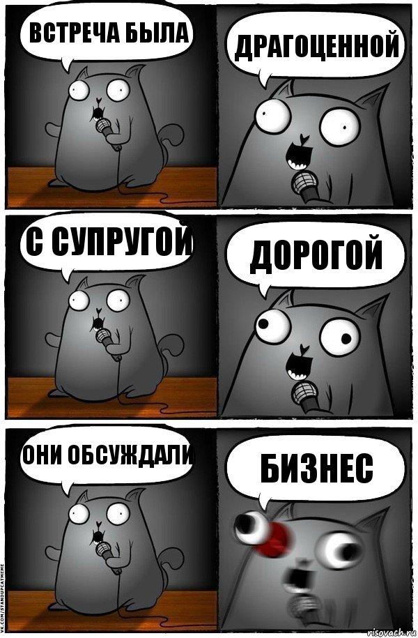 встреча была драгоценной с супругой дорогой они обсуждали бизнес, Комикс  Стендап-кот