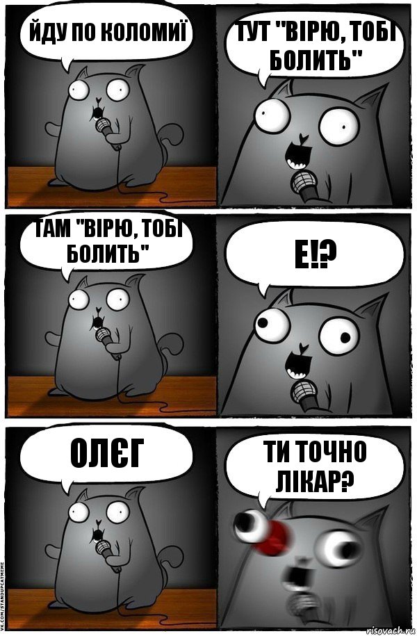 йду по коломиї тут "вірю, тобі болить" там "вірю, тобі болить" Е!? Олєг ти точно лікар?, Комикс  Стендап-кот