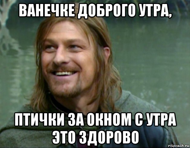 ванечке доброго утра, птички за окном с утра это здорово, Мем Тролль Боромир