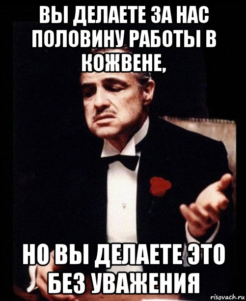 вы делаете за нас половину работы в кожвене, но вы делаете это без уважения, Мем ты делаешь это без уважения