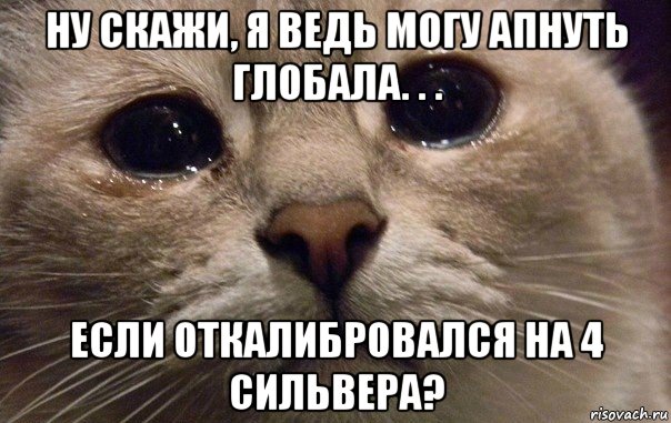 ну скажи, я ведь могу апнуть глобала. . . если откалибровался на 4 сильвера?, Мем   В мире грустит один котик