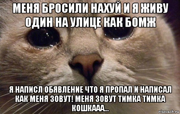 меня бросили нахуй и я живу один на улице как бомж я написл обявление что я пропал и написал как меня зовут! меня зовут тимка тимка кошкааа..., Мем   В мире грустит один котик