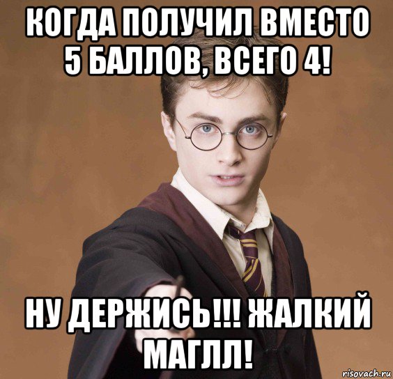 когда получил вместо 5 баллов, всего 4! ну держись!!! жалкий маглл!, Мем  Весёлый волшебник