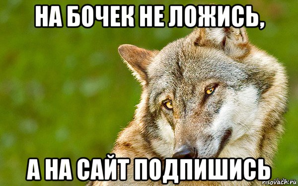 на бочек не ложись, а на сайт подпишись, Мем   Volf