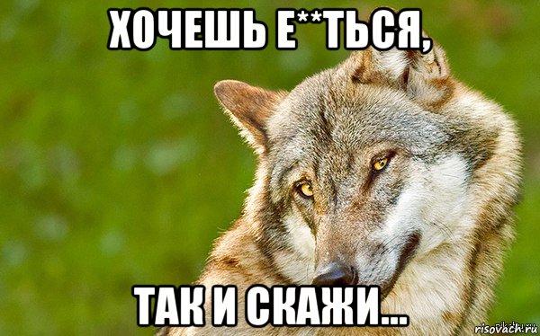 хочешь е**ться, так и скажи..., Мем   Volf