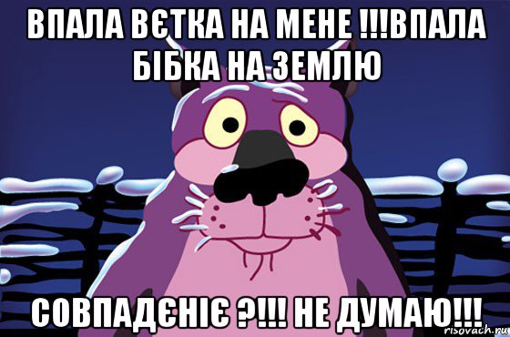 впала вєтка на мене !!!впала бібка на землю совпадєніє ?!!! не думаю!!!