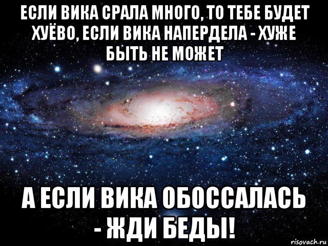 если вика срала много, то тебе будет хуёво, если вика напердела - хуже быть не может а если вика обоссалась - жди беды!, Мем Вселенная