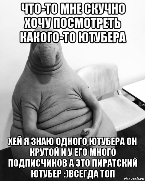 что-то мне скучно хочу посмотреть какого-то ютубера хей я знаю одного ютубера он крутой и у его много подписчиков а это пиратский ютубер :)всегда топ, Мем  Ждун