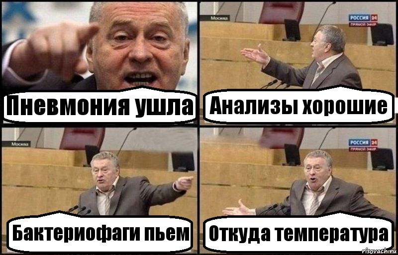 Пневмония ушла Анализы хорошие Бактериофаги пьем Откуда температура, Комикс Жириновский