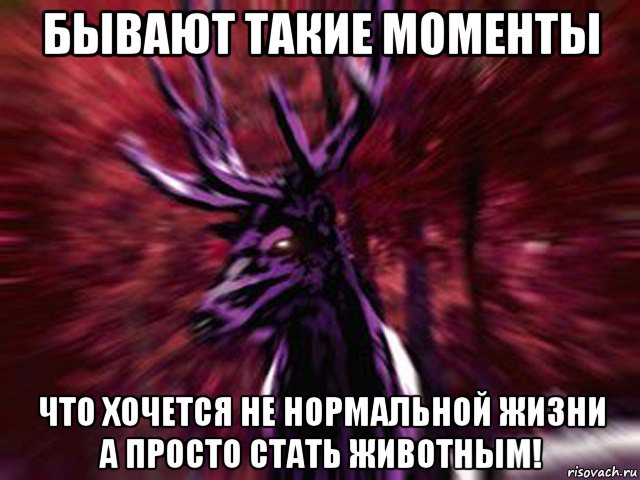 бывают такие моменты что хочется не нормальной жизни а просто стать животным!