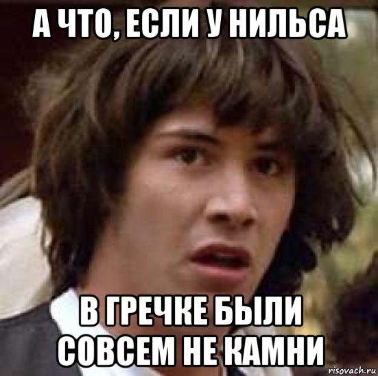 а что, если у нильса в гречке были совсем не камни, Мем А что если (Киану Ривз)