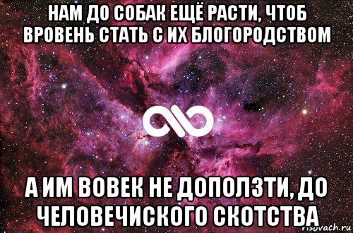 нам до собак ещё расти, чтоб вровень стать с их блогородством а им вовек не доползти, до человечиского скотства, Мем офигенно