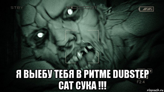  я выебу тебя в ритме dubstep cat сука !!!, Мем Аутласт