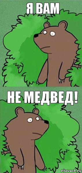 я вам не медвед!