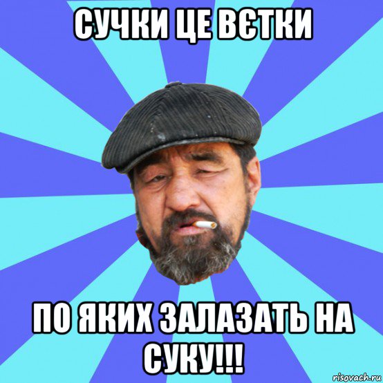 сучки це вєтки по яких залазать на суку!!!