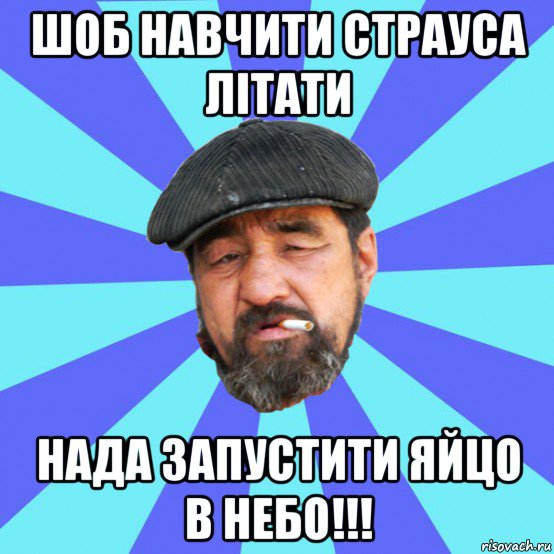 шоб навчити страуса літати нада запустити яйцо в небо!!!, Мем Бомж флософ