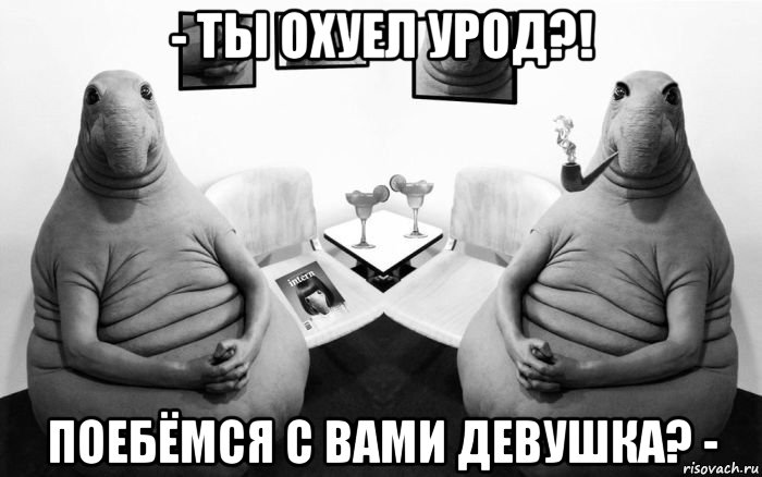 - ты охуел урод?! поебёмся с вами девушка? -