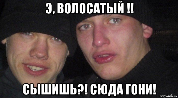 э, волосатый !! сышишь?! сюда гони!, Мем Ебать ты лох