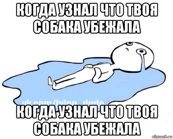 когда узнал что твоя собака убежала когда узнал что твоя собака убежала, Мем Этот момент когда