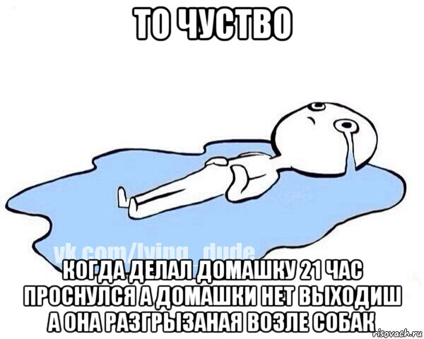 то чуство когда делал домашку 21 час проснулся а домашки нет выходиш а она разгрызаная возле собак, Мем Этот момент когда