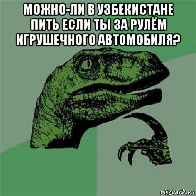 можно-ли в узбекистане пить если ты за рулём игрушечного автомобиля? , Мем Филосораптор